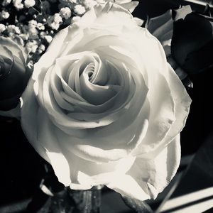 Meet your Posher, Carole